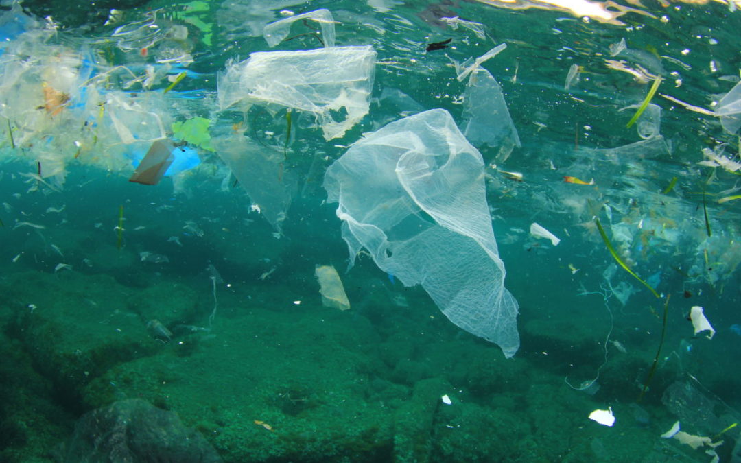 Marine Debris