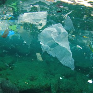 Marine Debris
