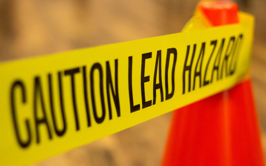 Lead Awareness Training