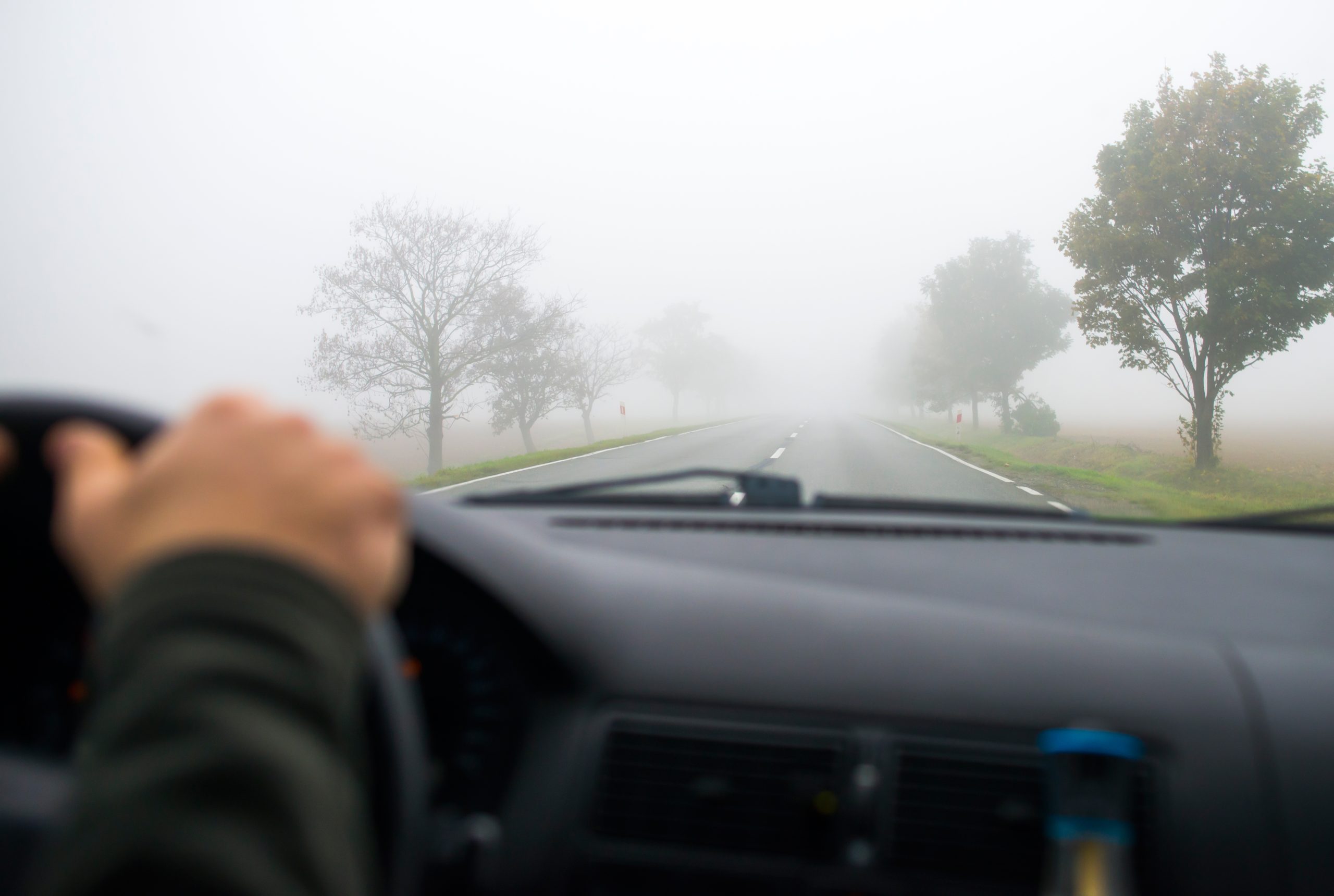 Conducción de automóviles en la carretera de niebla