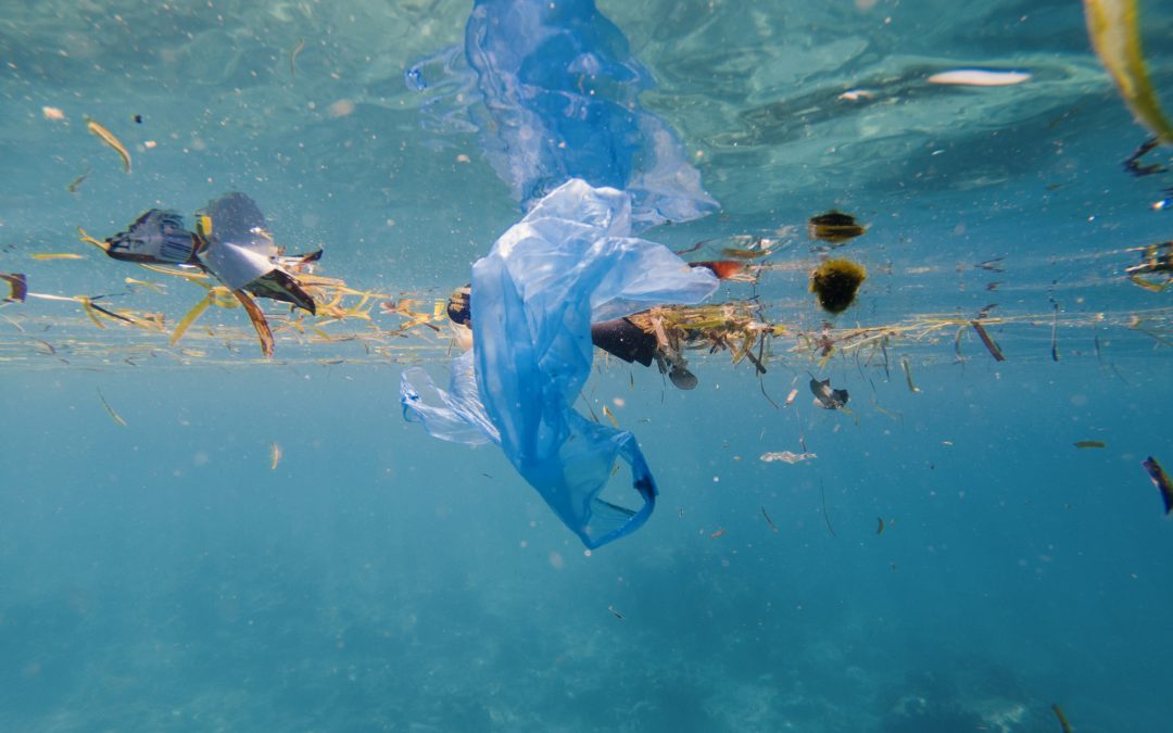 Marine Debris: Instructor Led