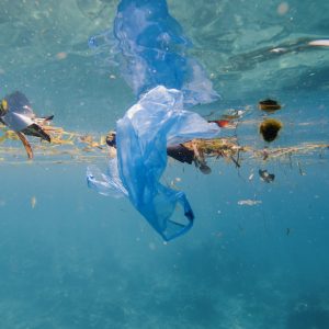 Marine Debris