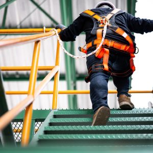 Fall Protection User / Rescue
