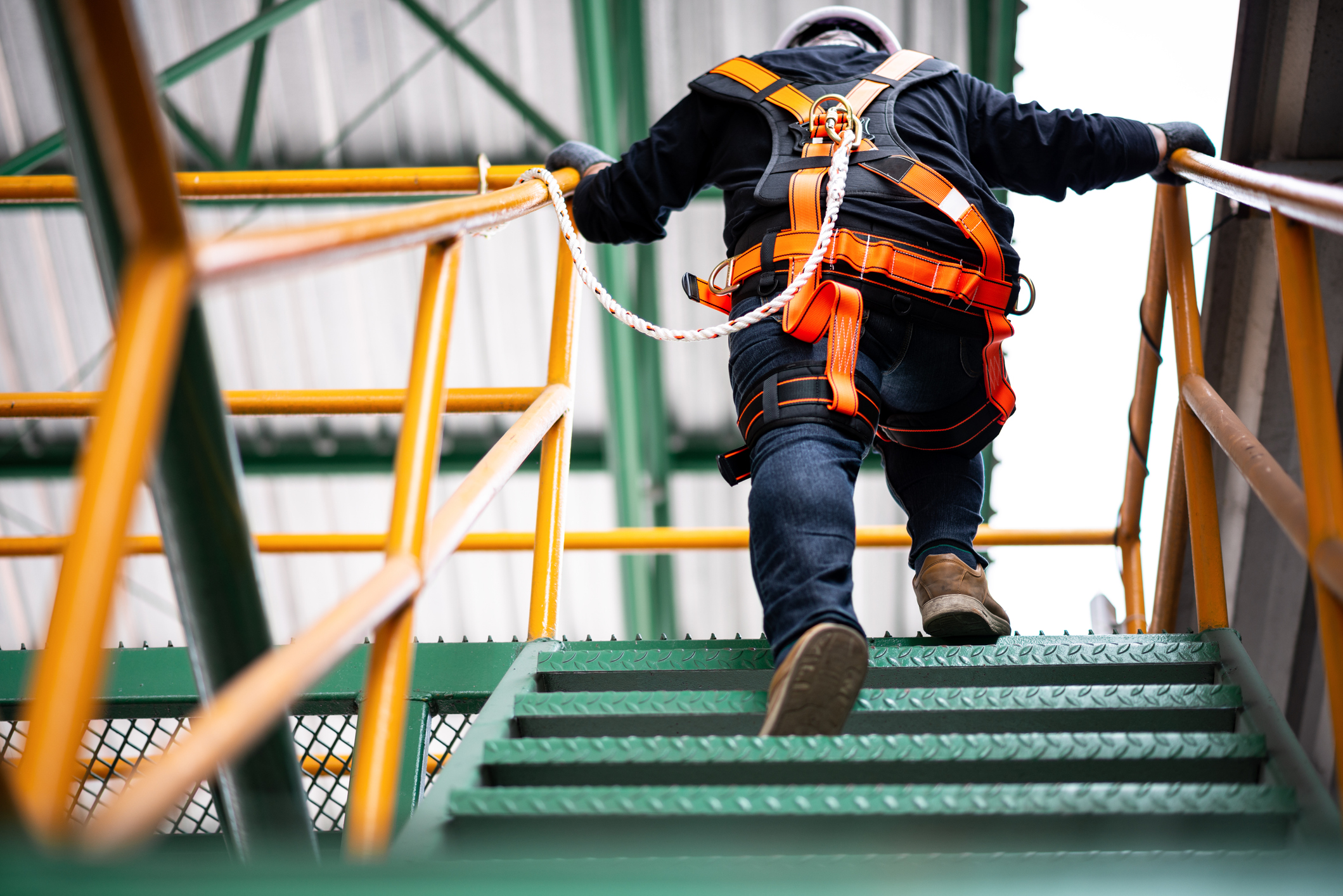 Fall Protection User / Rescue