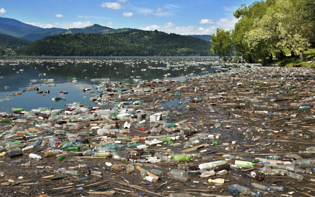 General Environmental Awareness