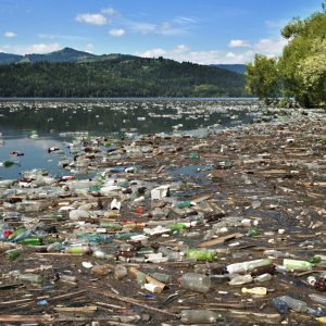 General Environmental Awareness